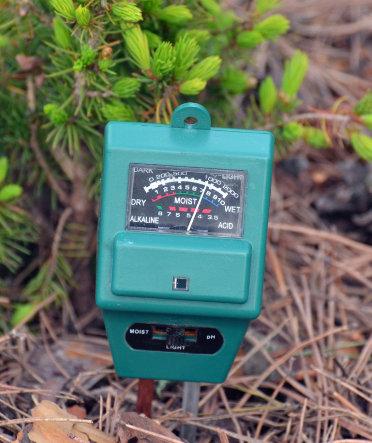 Greenhouse Humidity Monitoring for a Home Gardener GreenhouseGuide