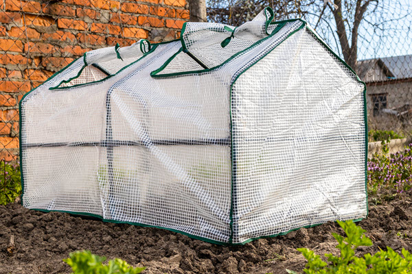 The Best Portable Greenhouses for Your Backyard