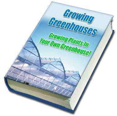 Growing Greenhouses