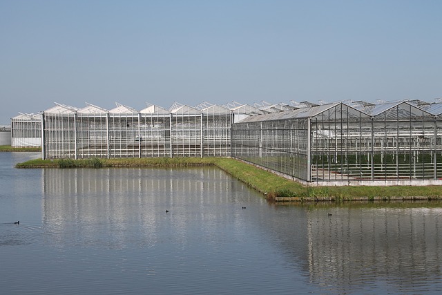 sawtooth greenhouse