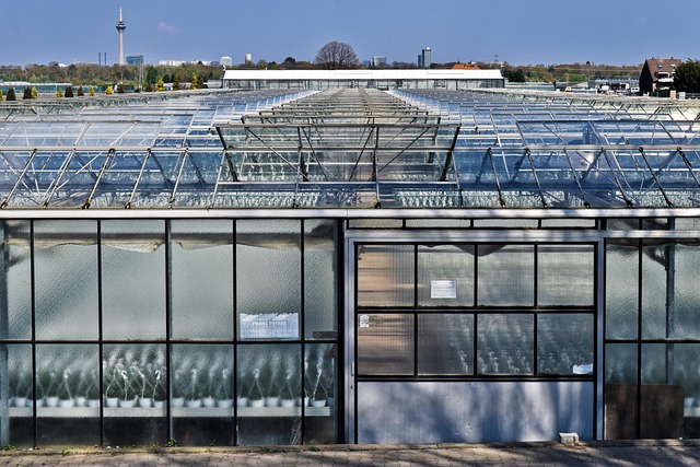 sawtooth greenhouse